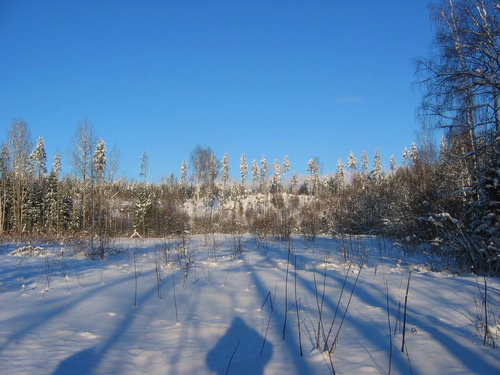 Ruhmaslehto Villa Siikava ภายนอก รูปภาพ